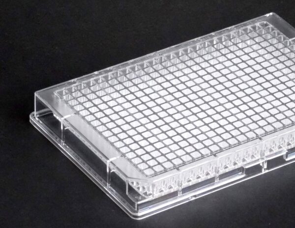 HTS 384-Well Plate