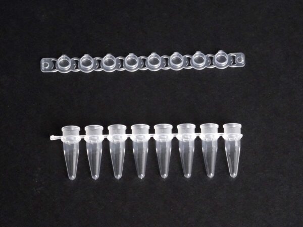 High Binding Streptavidin Coated PCR 8 Strip Tubes - Image 2