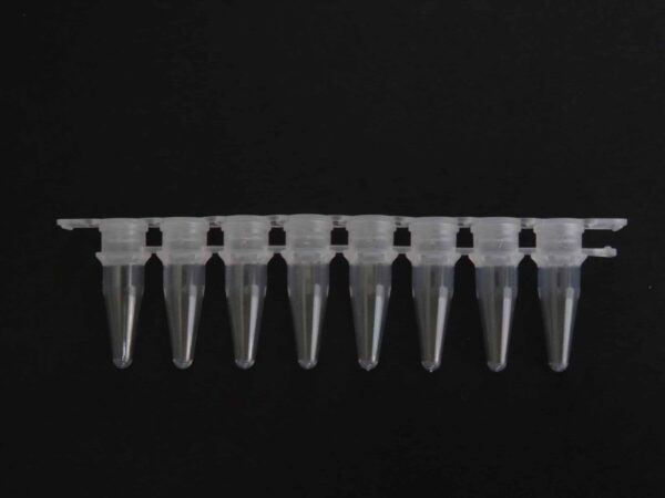 High Binding Streptavidin Coated PCR 8 Strip Tubes - Image 3
