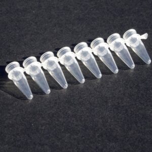 Coated PCR 8 Strip Tubes