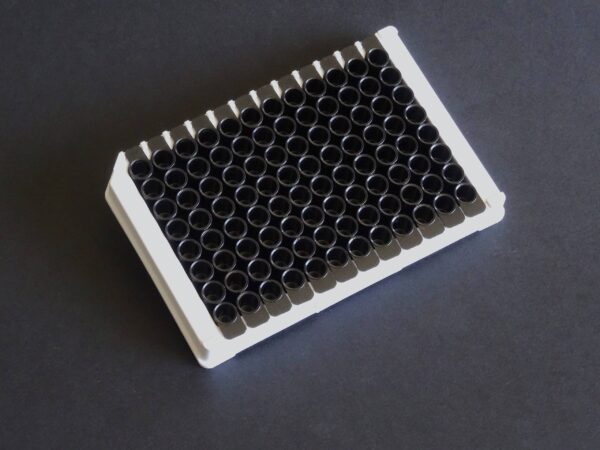 Tetanus Toxoid Coated Plates - Image 6