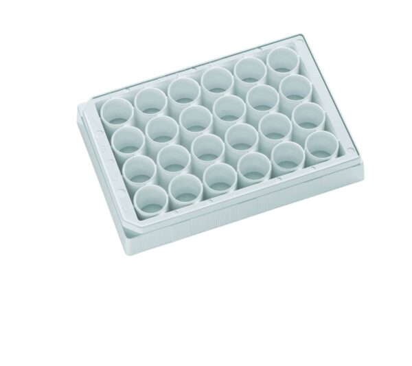 Tissue culture treated white transparent bottom 24 well plate with lid