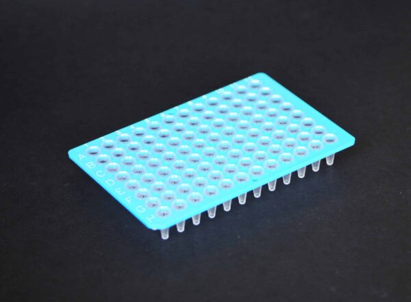 High Binding Streptavidin Coated PCR Plates - Image 8