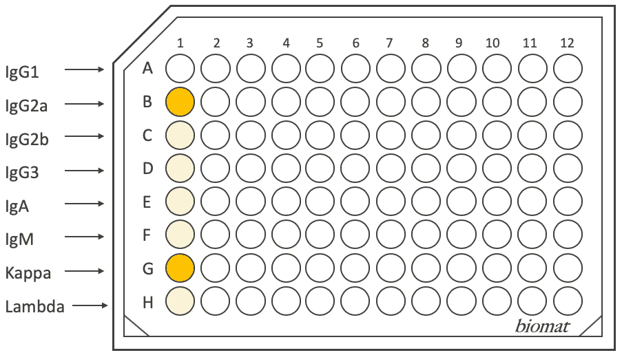 Mouse Monoclonal Antibody Isotyping Coated Microplates