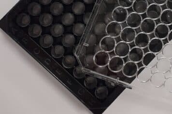 Poly-D-lysine Black transparent bottom 96 well plate with lid