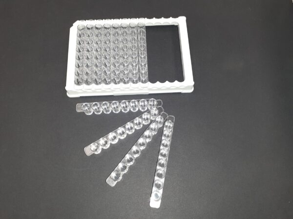 High Binding 96 Well Plates - Image 11